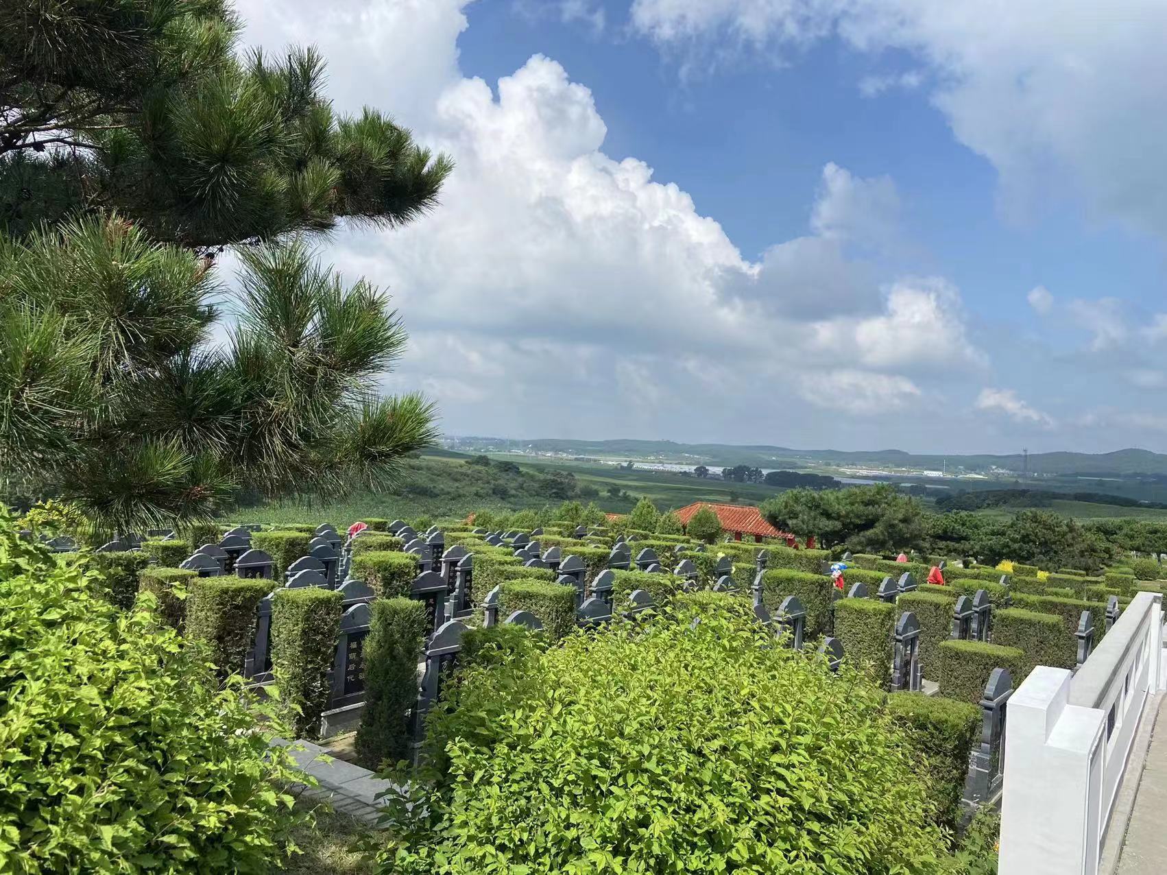 沈阳永乐青山墓园：揭秘祭祀礼仪的秘密