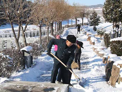 沈阳永乐青山墓园：揭秘祭祀礼仪的秘密