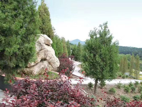 沈阳永乐青山墓园：揭秘祭祀礼仪的秘密